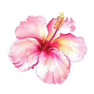 Meet your Posher, Bella